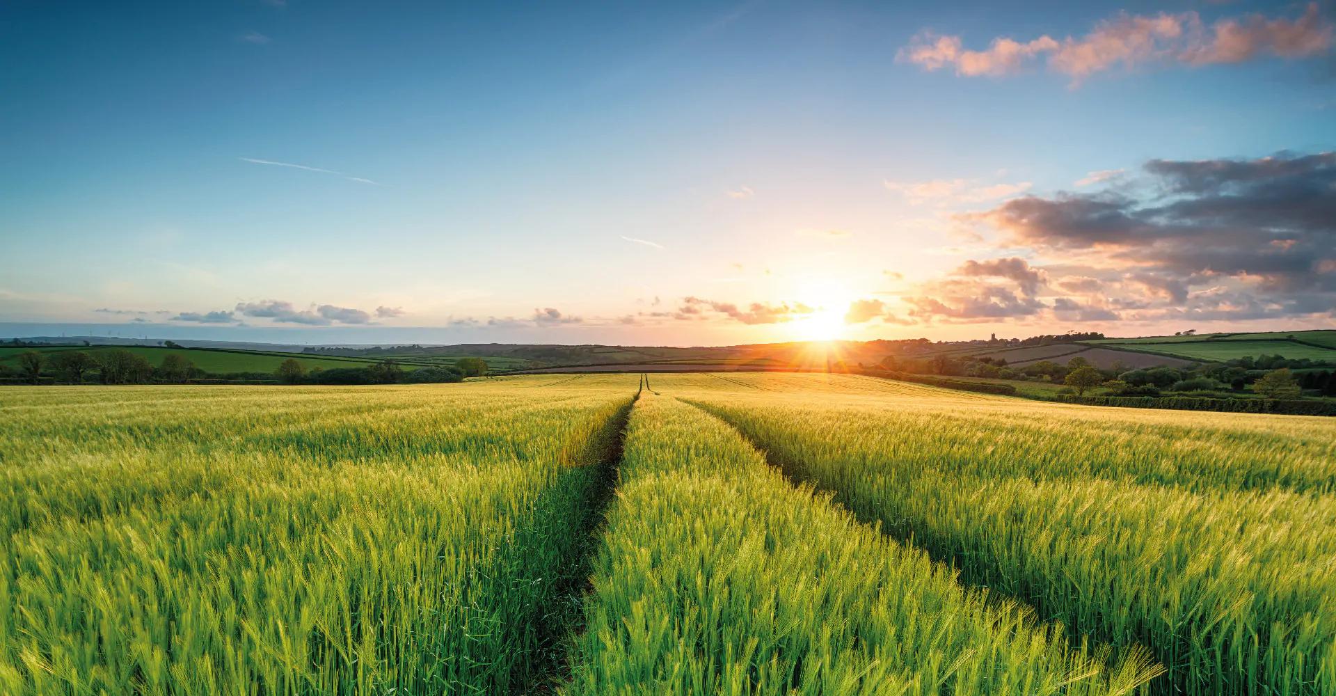 Liquid Fertiliser and Regenerative Agriculture